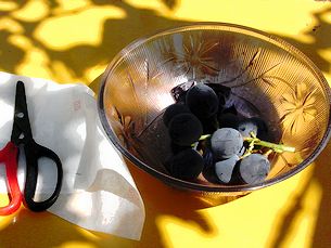 �͂��݂ƂԂǂ�����