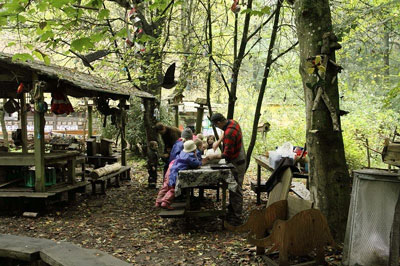 �X�̗c�t���̎ʐ^