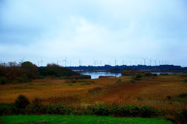 ���͔��d���̉��i�ʐ^