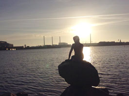 �l���P�̎ʐ^