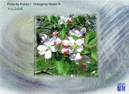 リンゴの花の絵