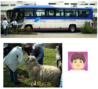 �o�X�Ɩq��̃��M