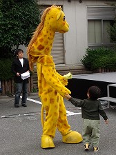 �ʂ�����݂̎ʐ^