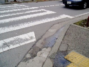 �V�������i�ޓ��H�̎ʐ^