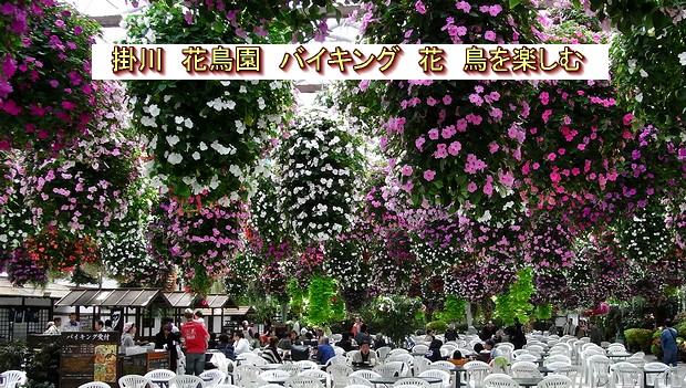 �Ԓ����E�剷���H��