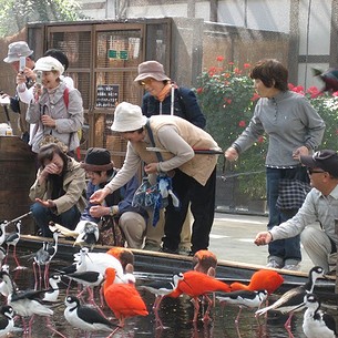 �l�ԑ����ƒ������ł�