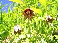 �N�������̎ʐ^