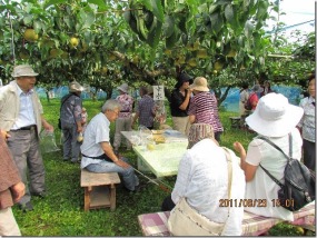 �i�V�������Ă���ʐ^