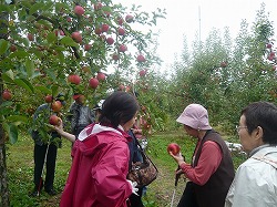 �t���b�V���ȃ����S����������ĐH�ׂĂ��܂��ʐ^