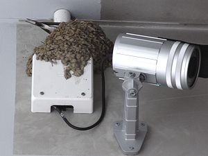 �c�o���̑���
�ʐ^