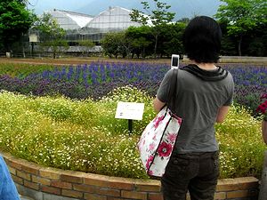 �Y��ȃ��x���_�[�̎ʐ^