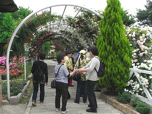 �o���̃A�[�`�̎ʐ^