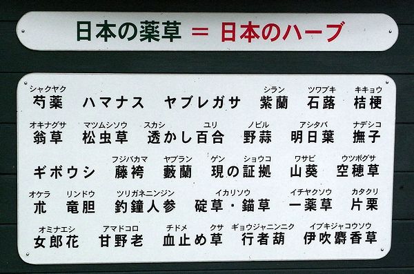 ���{�̃n�[�u�̃��X�g�̎ʐ^�F���Ⴍ�₭�A�n�}�i�X�A���u���K�T�A�����A��Ԃ��A�����傤�A�����Ȃ����A�܂ނ������A���������A�̂т�A�������΁A�Ȃł����A�M�{�E�V�A�ӂ��΂��܁A��Ԃ炵�A����̂��ケ�A�킳�сA���ڂ����A������A���ǂ��A�肪�˂ɂ񂶂�A�����肻���A�����₭�����A��������A���݂Ȃ����A���܂ǂ���A���ǂ߂����A���傤����ɂ�ɂ��A���Ԃ����Ⴑ������