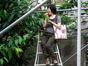 �r���ɏ���āA�B��ĐH�ׂĂ����M�����̎ʐ^