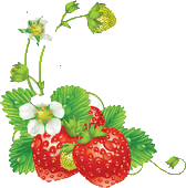 �������̃o�b�N�摜