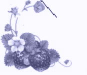 �������̂����G