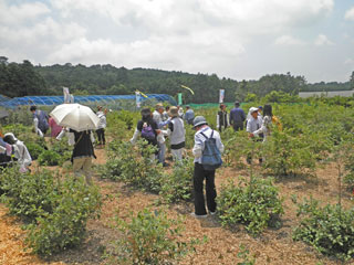 �u���[�x���[��H�ׂĂ�ʐ^